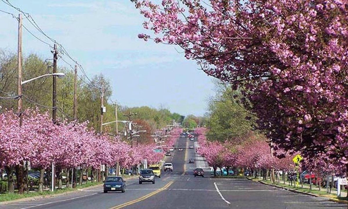 Cherry Hill, IL - Cherry Hill, NJ: All You Must Know Before You Go (2026) - Tripadvisor