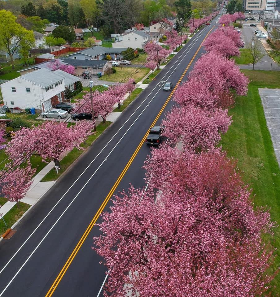 Cherry Hill, IL - Laundry Pickup & Delivery in Cherry Hill Township, NJ