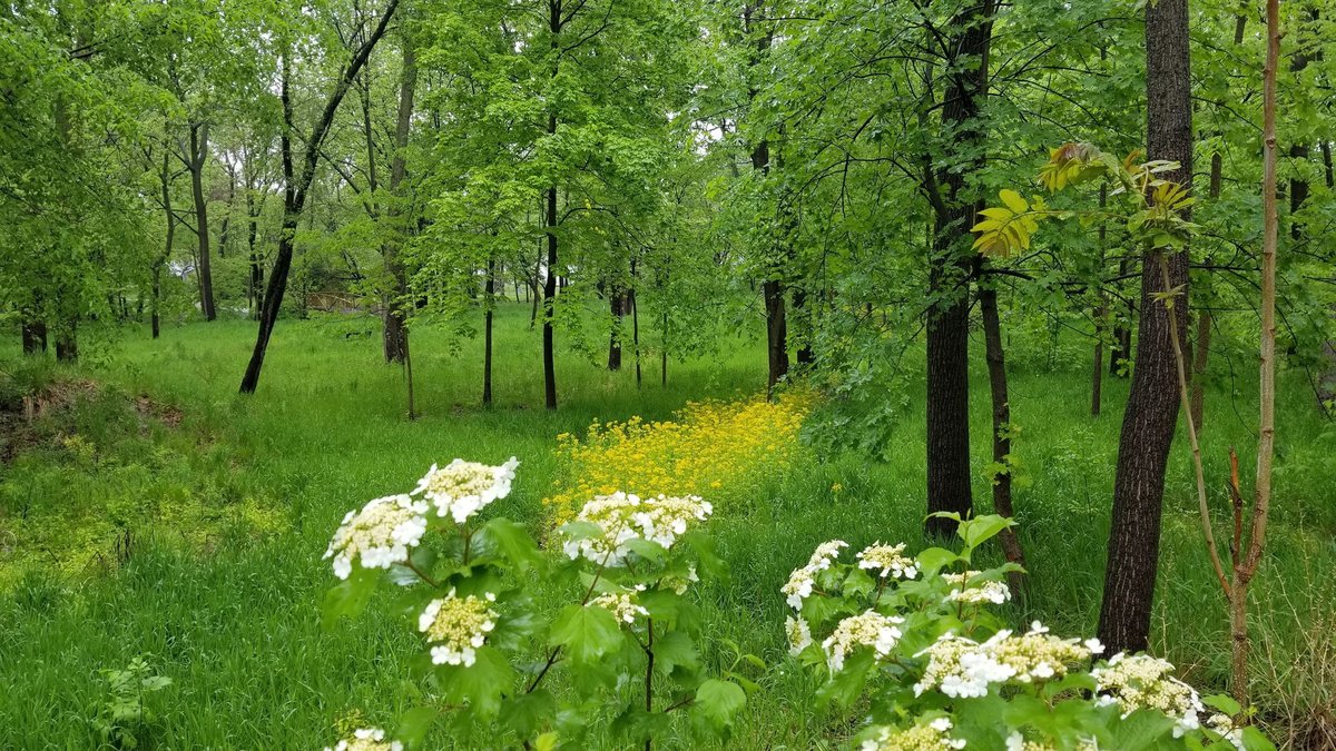Sanctuary, IL - Hidden Creek | Normal, IL - Official Website